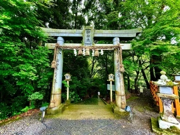中野 かな