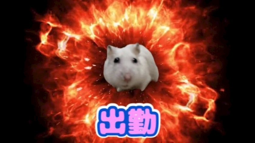 ゆん