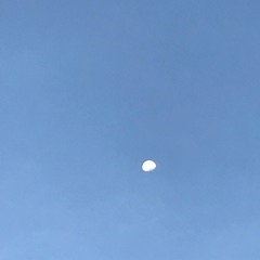 りえ