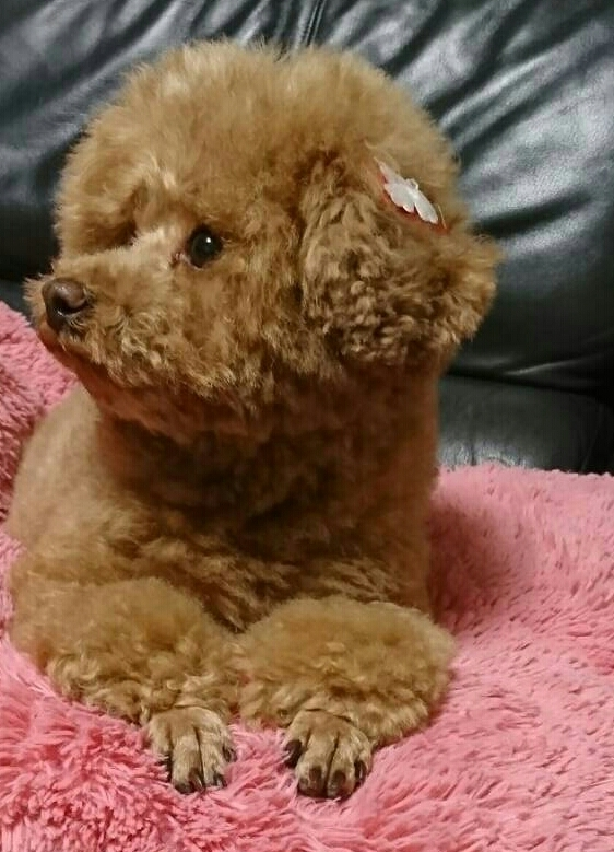 えみり