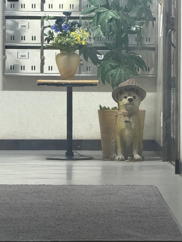 華宮 りんか