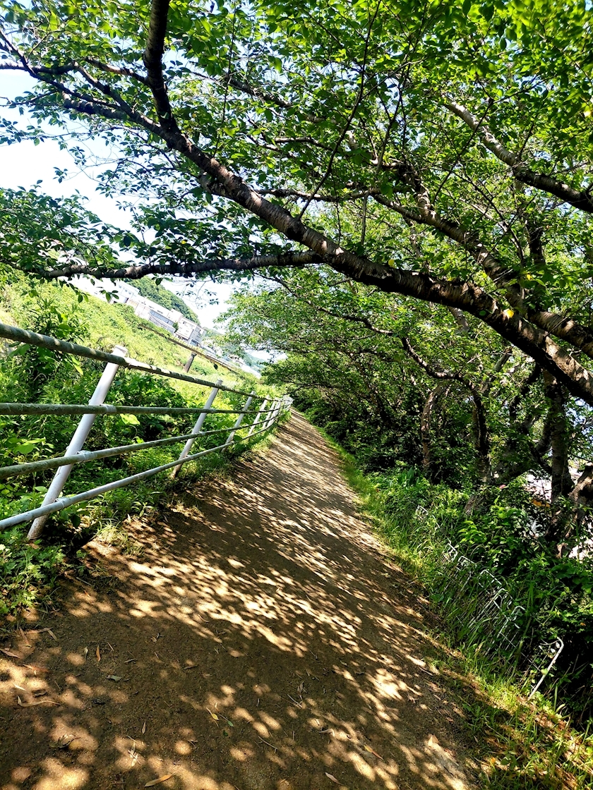すみれ