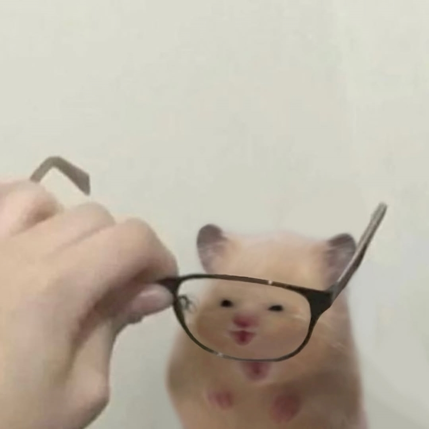 葉山 ゆうり
