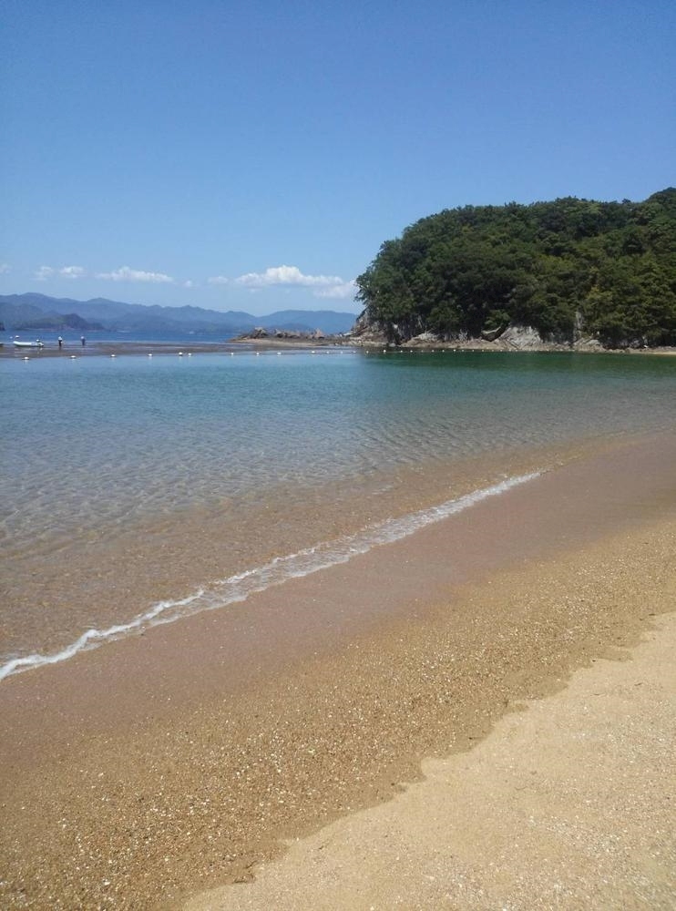 朝倉 しおり