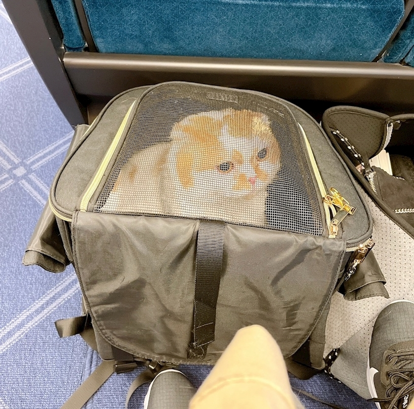 れみ