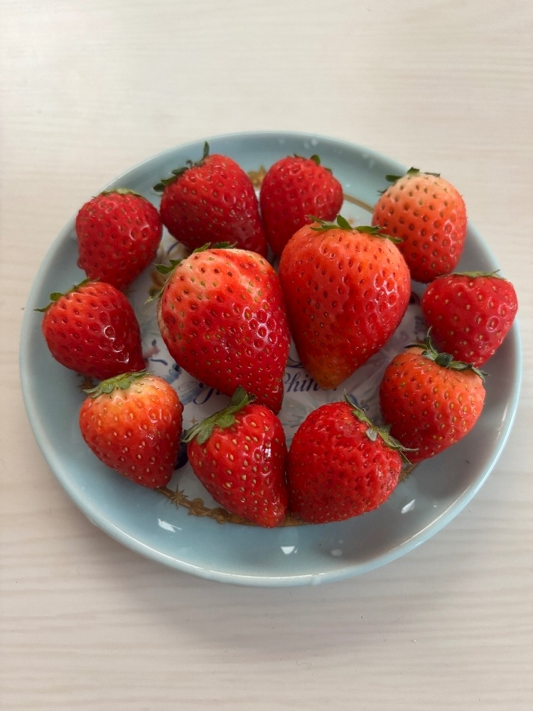 まどか