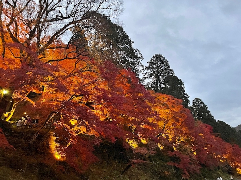 出海    なつ