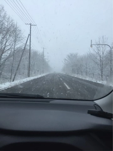 蓮見 リア