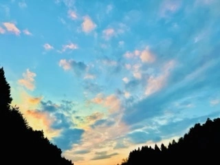 ゆかり