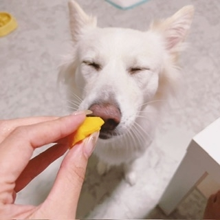 京 さゆみ