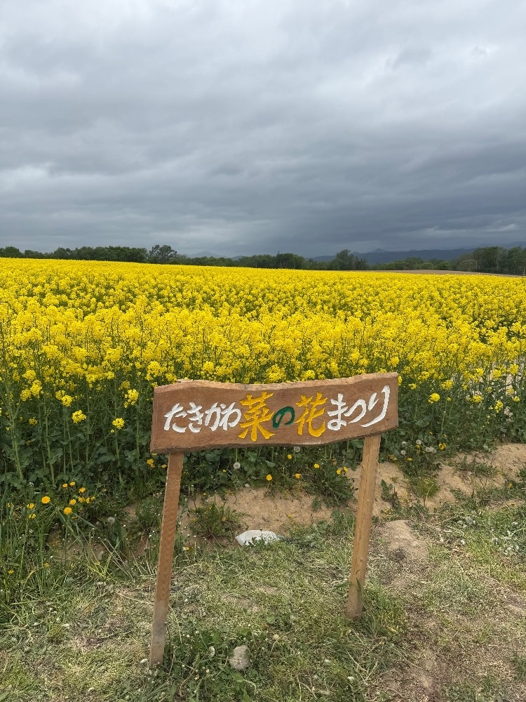 結城 かなの