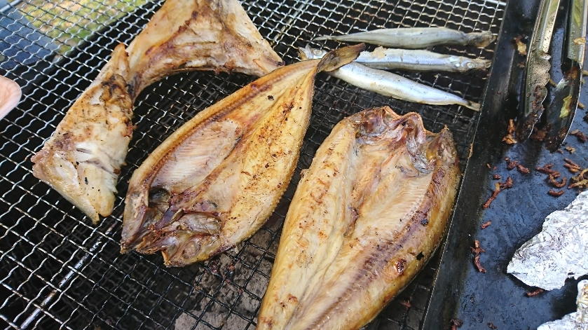 五条 椿