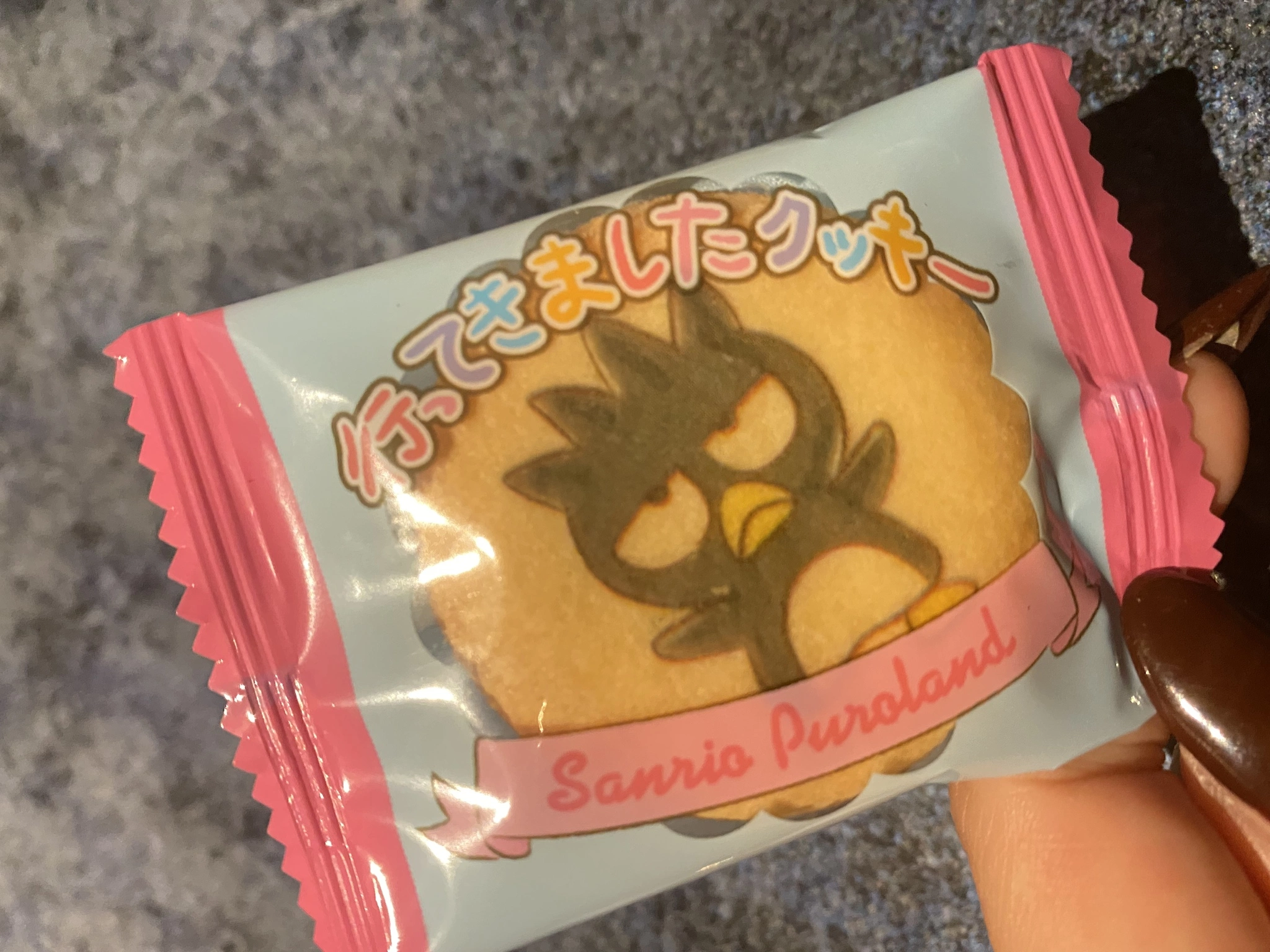 かてぃ (ちあんタントウ)
