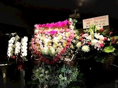 愛羽 仁美