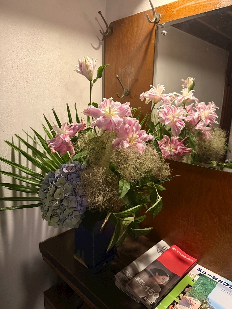 紬 むぎ