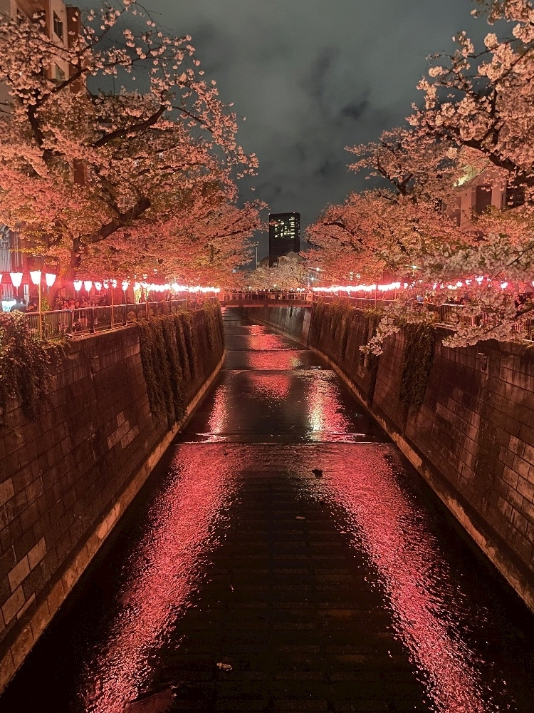 まいか