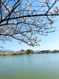 かおり