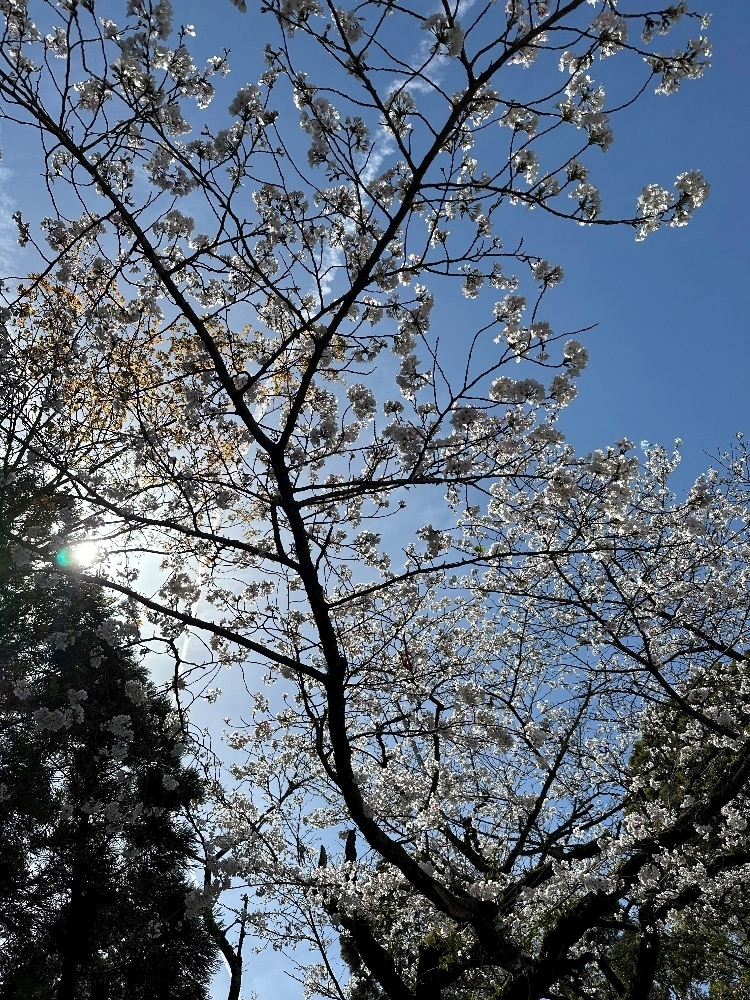 ゆあ