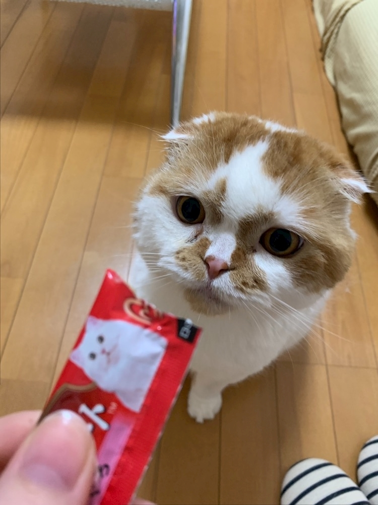 れみ