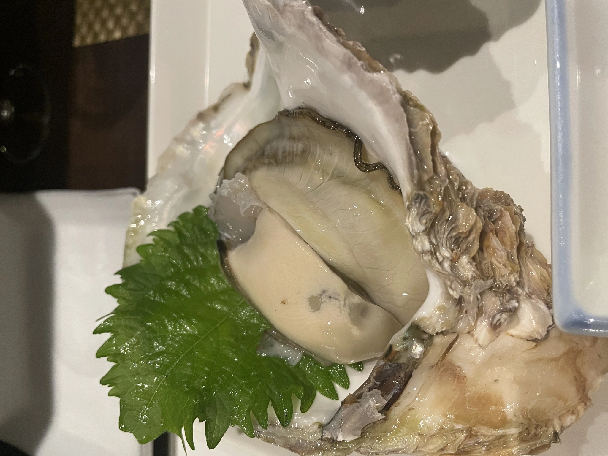 有栖 希愛