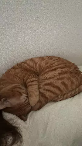 神永 莉聖