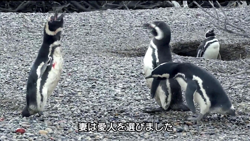 りと