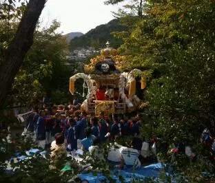 雅