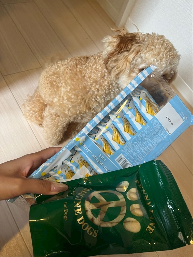 もえ