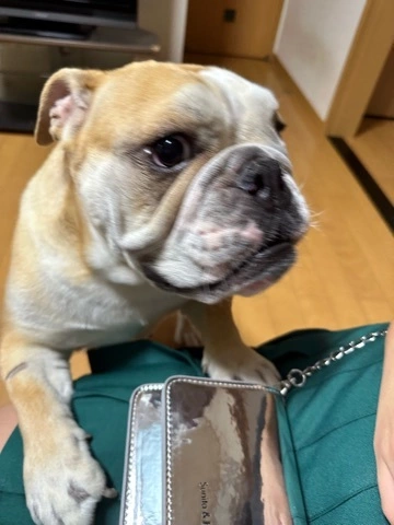 まみ