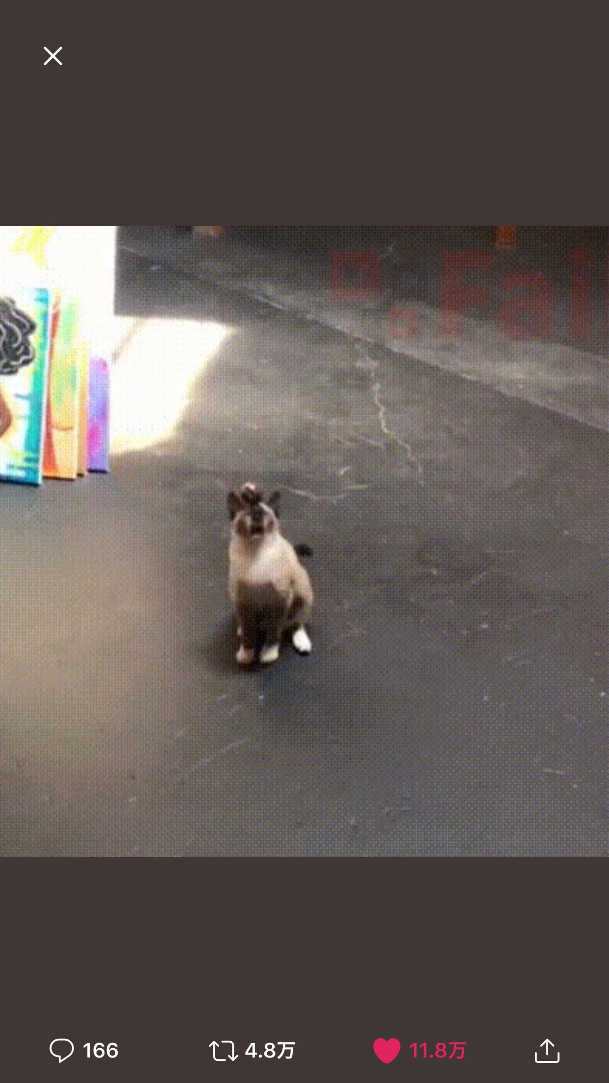 ゆきな