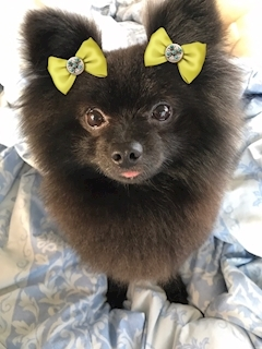 ティナ