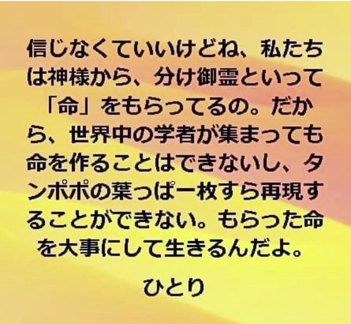藤本 祐子ママ