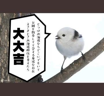 ひな