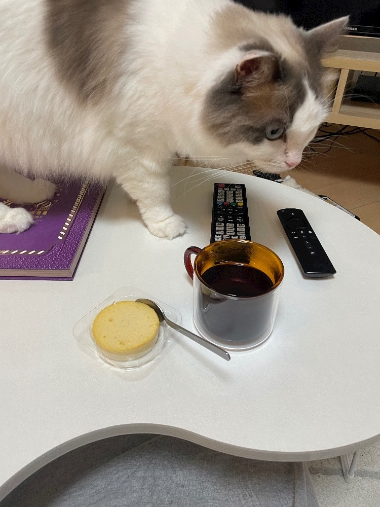 辻 みなみ