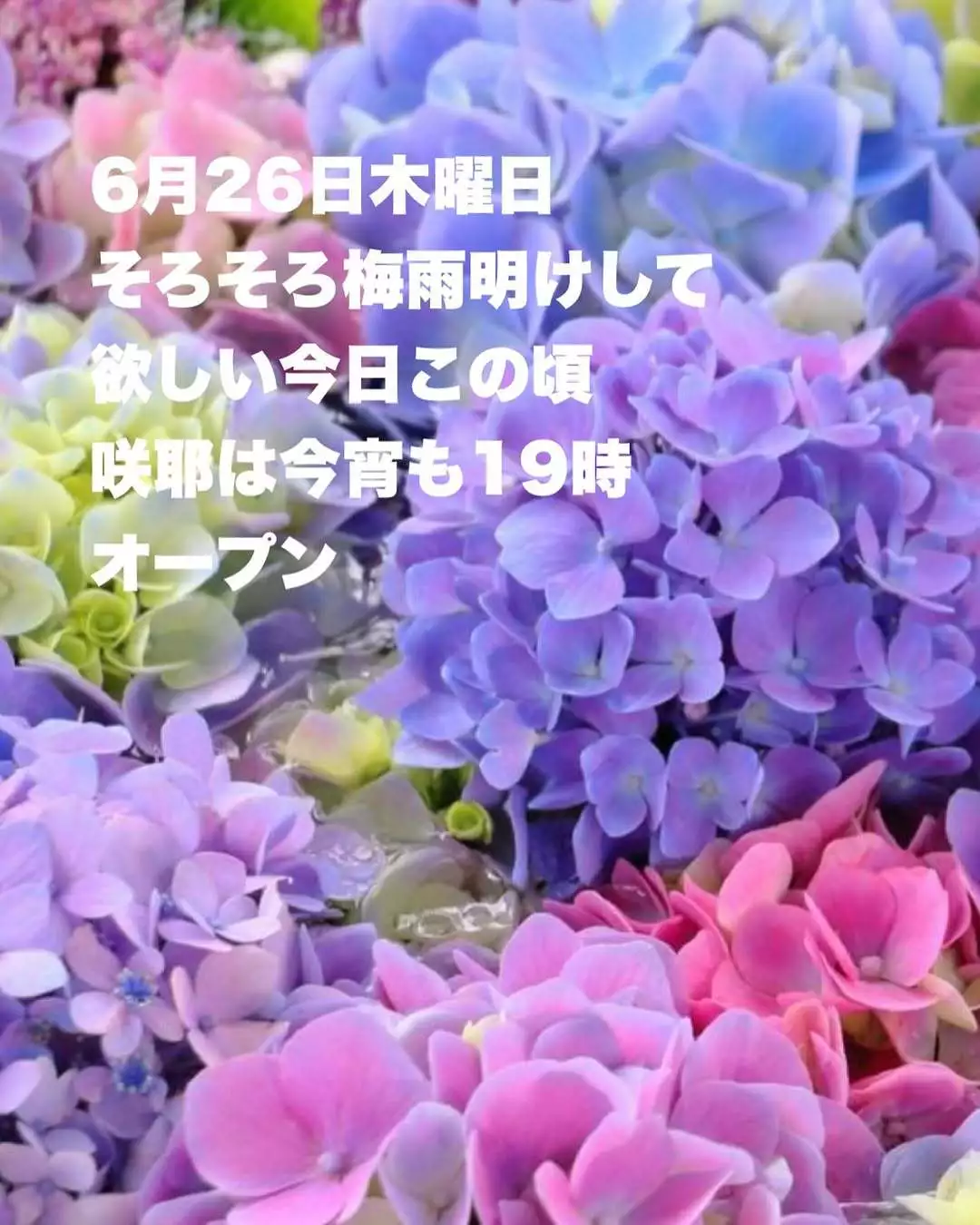 藤本 祐子ママ