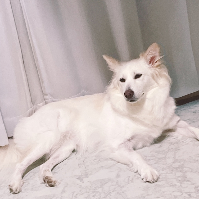 京 さゆみ
