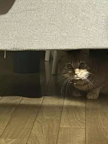神永 莉聖
