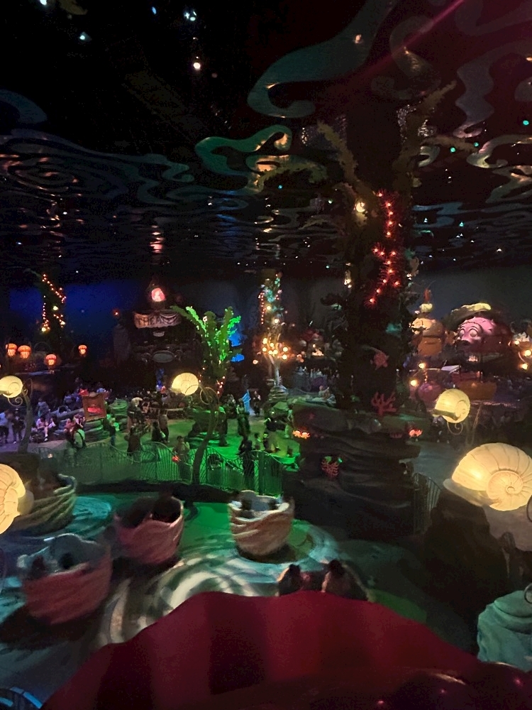 かびるんるんさわ