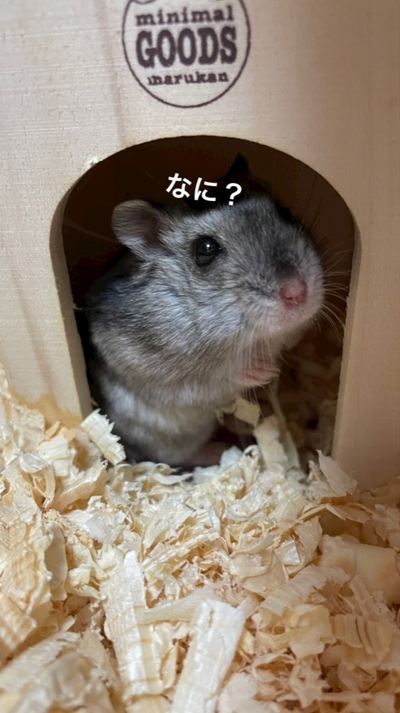 なな