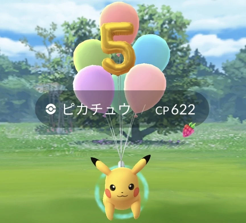 五条 椿