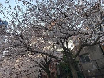 れい