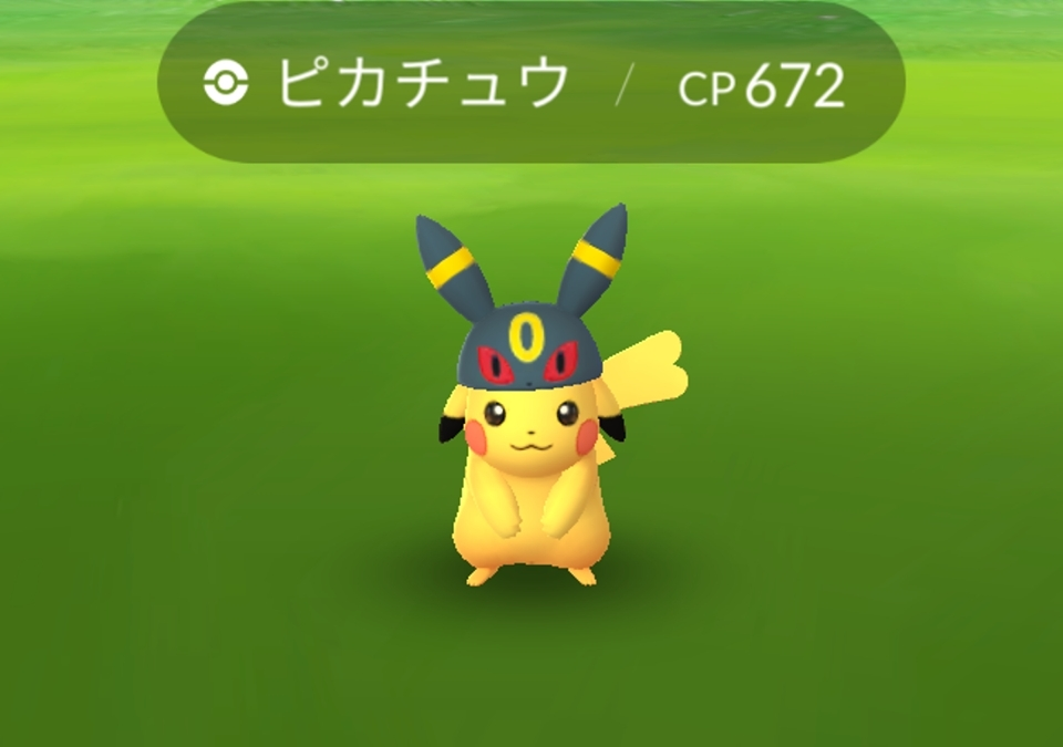 五条 椿