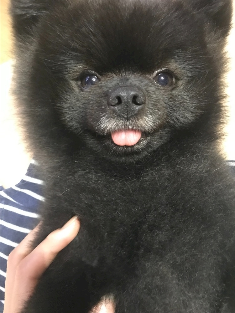 ティナ