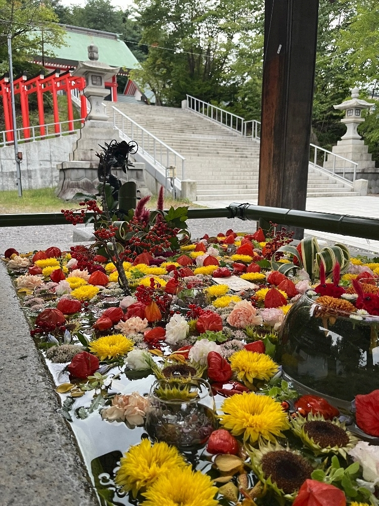乙川 ゆあ