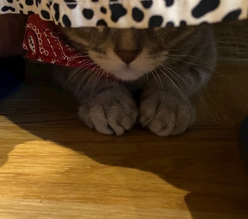 みき