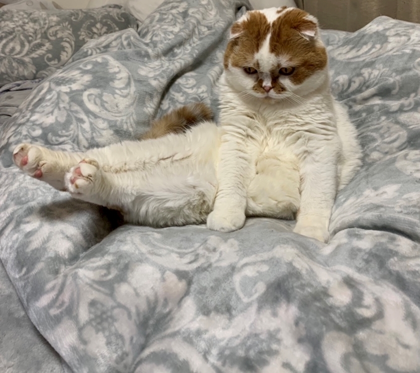 れみ