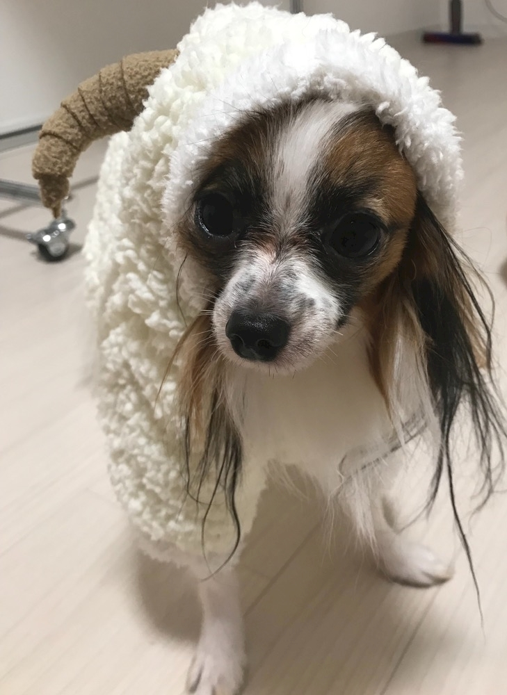 ティナ