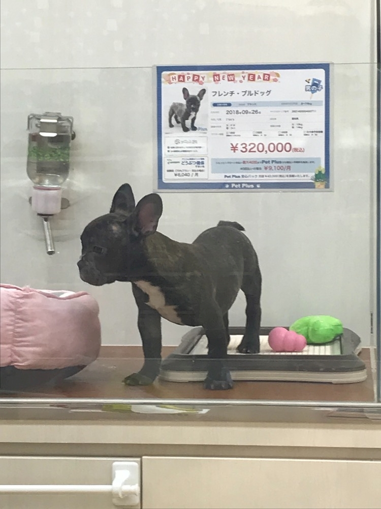 諸星 海