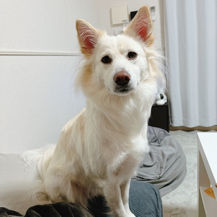 京 さゆみ