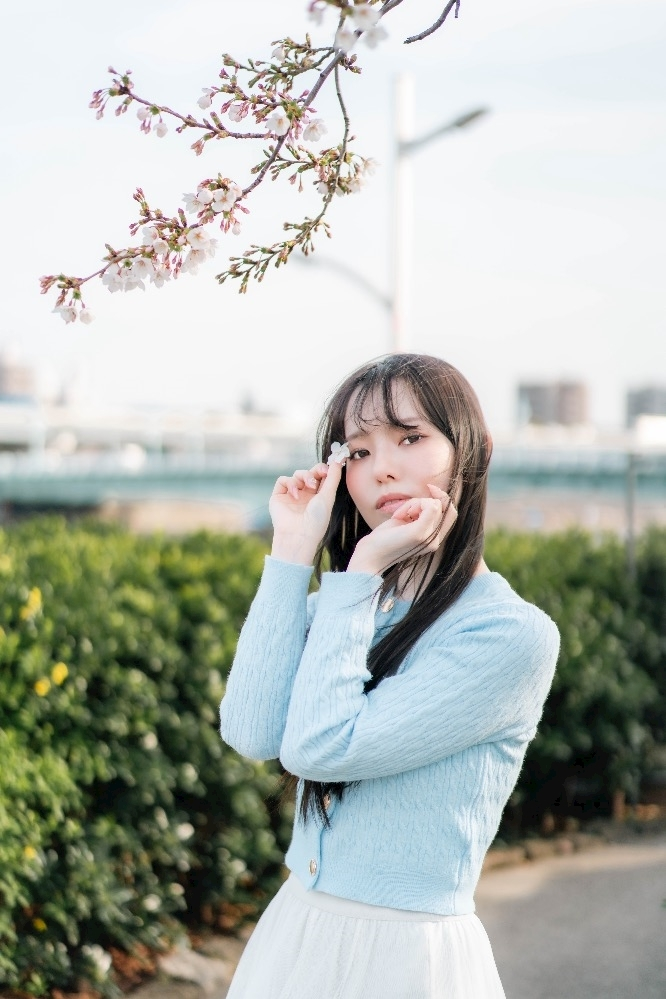 さくら